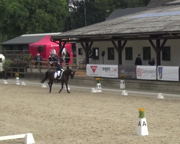Reitsport Festival am Gut Jagenberg - Solingen 2021