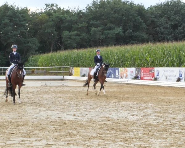 Sommerturnier Ostbevern 2021