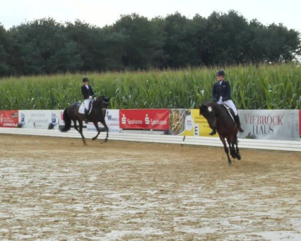 Sommerturnier Ostbevern 2021