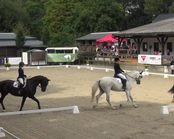 Reitsport Festival am Gut Jagenberg - Solingen 2021
