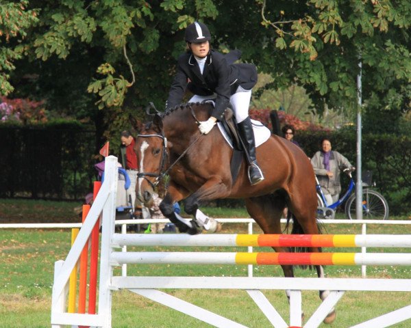 dressage horse Waykiki (Saxony-Anhaltiner, 2002, from World Man G)