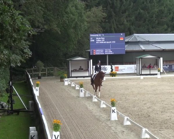 Reitsport Festival am Gut Jagenberg - Solingen 2021