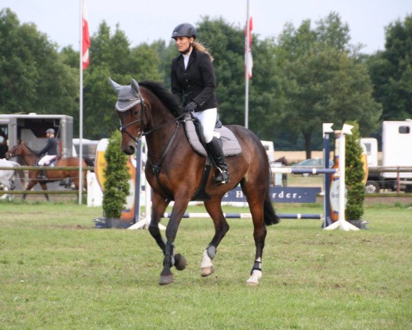 broodmare Cheeky on Cloud (Westphalian, 2003, from Collin L)