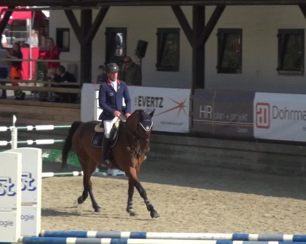 Reitsport Festival am Gut Jagenberg - Solingen 2021