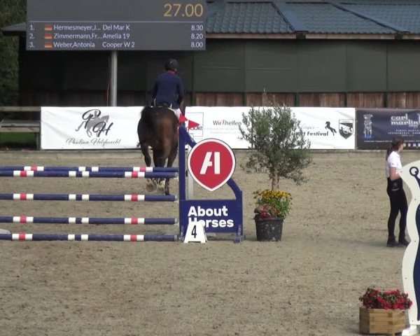 Reitsport Festival am Gut Jagenberg - Solingen 2021