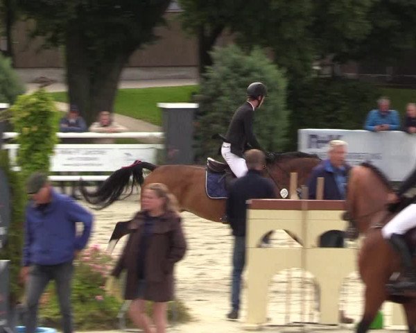 Reitturnier Schnarup-Thumby 2021