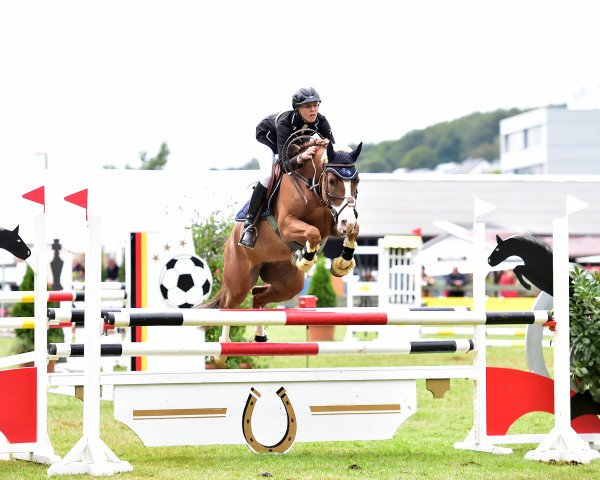 Springpferd Diva de Luna 3 (Deutsches Reitpony, 2007, von Three-Stars Dumbledore)