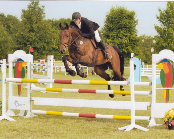 Springpferd Mabrea (Hannoveraner, 2010, von Monte Bellini)