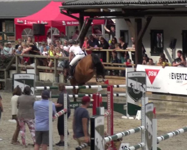 Reitsport Festival am Gut Jagenberg - Solingen 2021