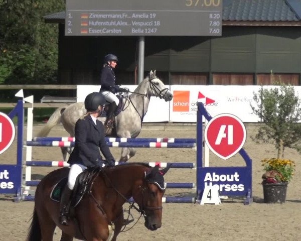 Reitsport Festival am Gut Jagenberg - Solingen 2021