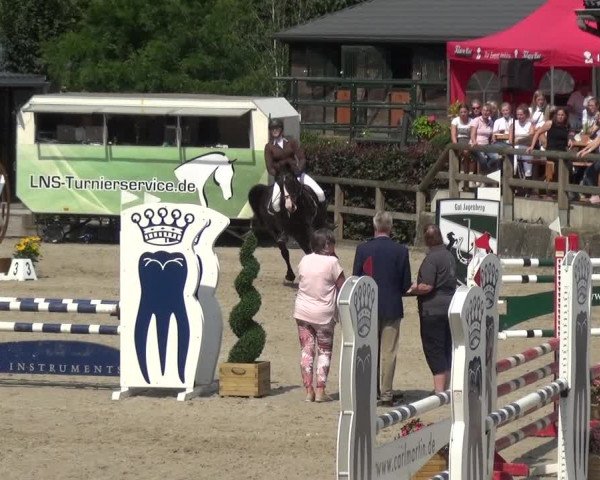 Reitsport Festival am Gut Jagenberg - Solingen 2021