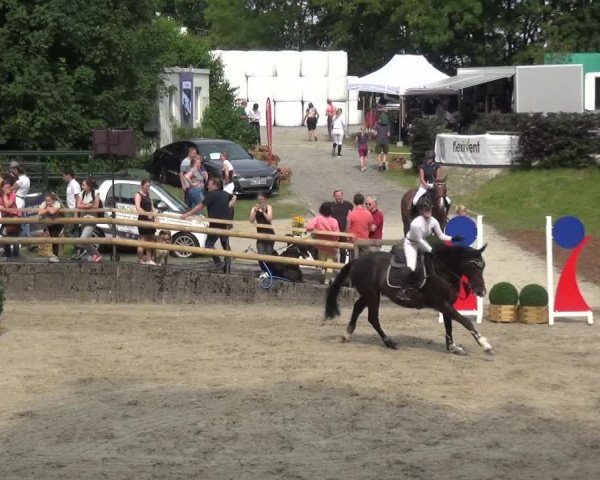 Reitsport Festival am Gut Jagenberg - Solingen 2021