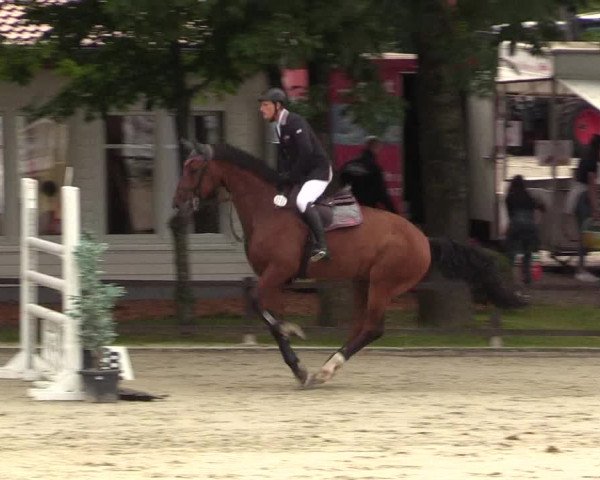 Reitturnier Schnarup-Thumby 2021