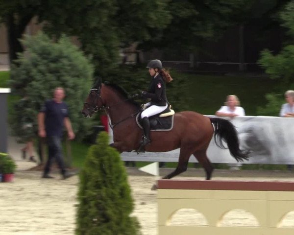 Reitturnier Schnarup-Thumby 2021