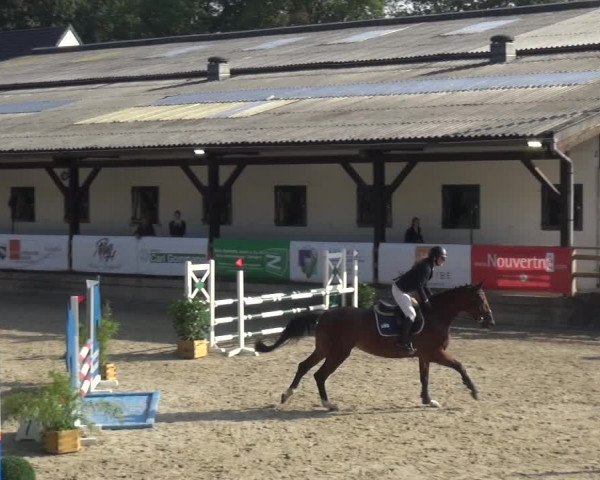 Reitsport Festival am Gut Jagenberg - Solingen 2021