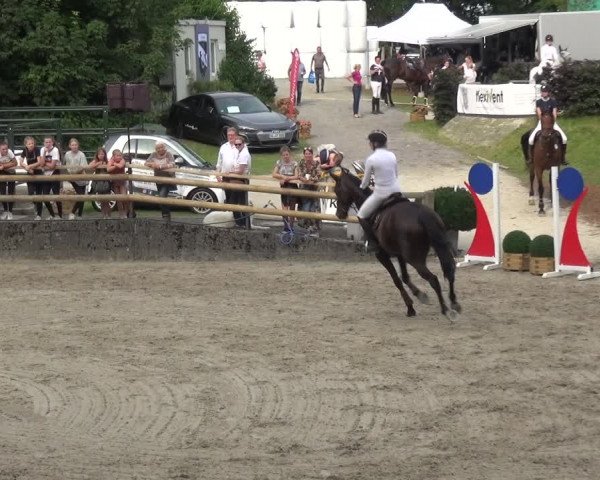 Reitsport Festival am Gut Jagenberg - Solingen 2021