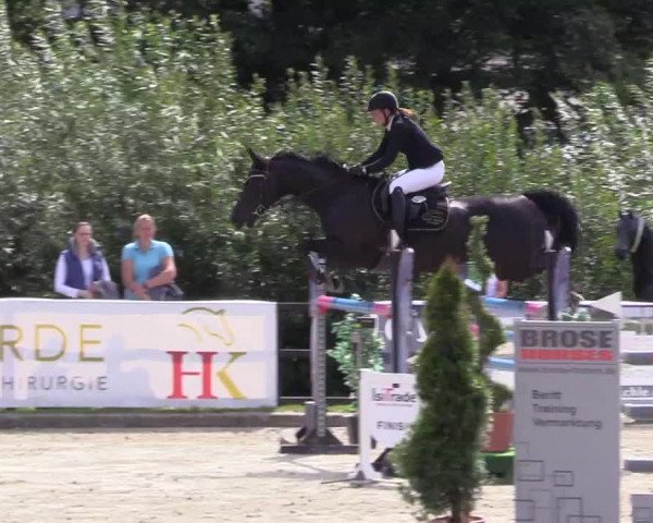 Reitturnier Schnarup-Thumby 2021