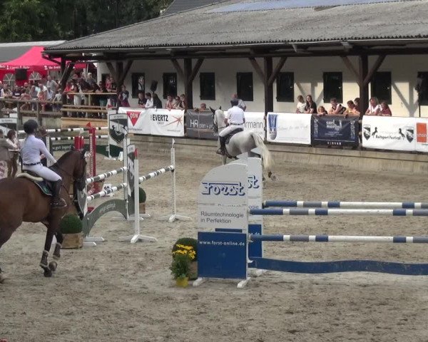Reitsport Festival am Gut Jagenberg - Solingen 2021