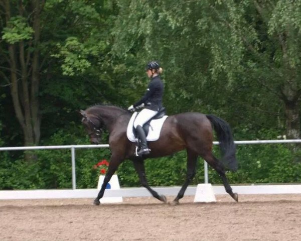 horse Chenna 2 (Hessian Warmblood, 2004, from Helenenhof's Carabas)