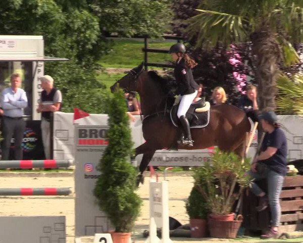 Reitturnier Schnarup-Thumby 2021