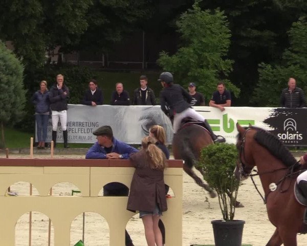Reitturnier Schnarup-Thumby 2021