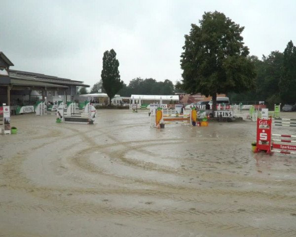 Reitturnier Hellefeld 2021