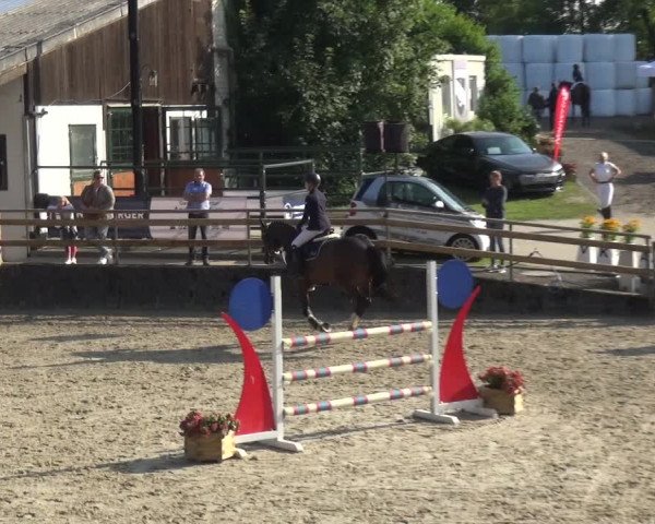 Reitsport Festival am Gut Jagenberg - Solingen 2021