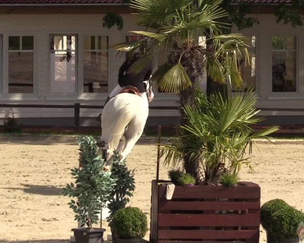 Reitturnier Schnarup-Thumby 2021