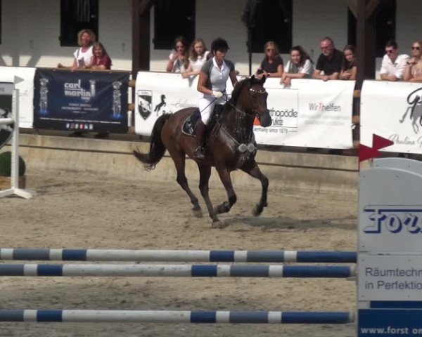 Reitsport Festival am Gut Jagenberg - Solingen 2021