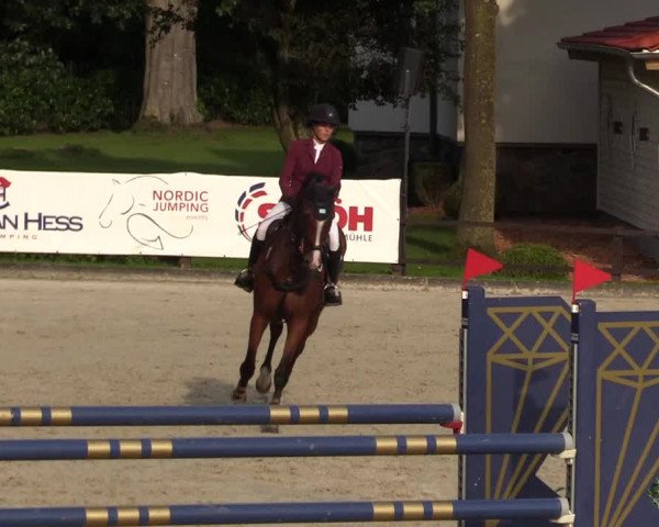 Reitturnier Schnarup-Thumby 2021