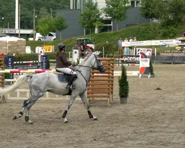 Reitturnier Siegen 2021