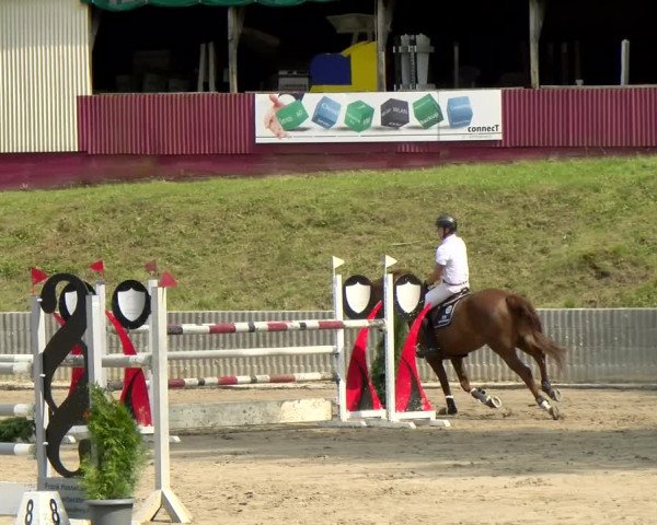 Reitturnier Siegen 2021
