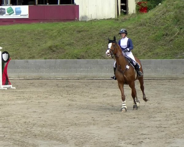 Reitturnier Siegen 2021