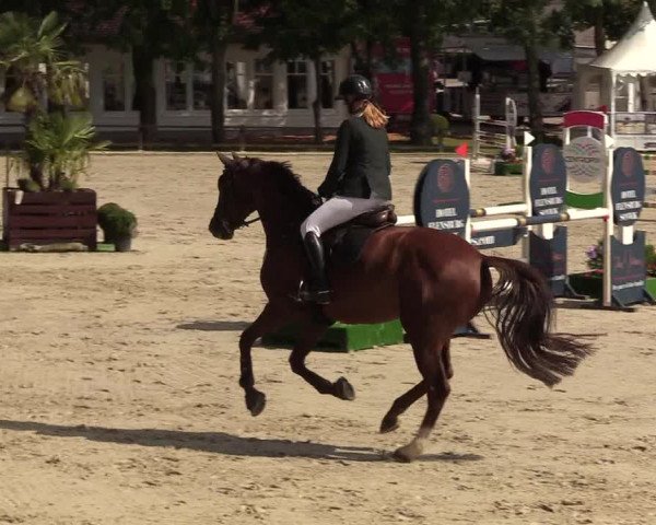Reitturnier Schnarup-Thumby 2021