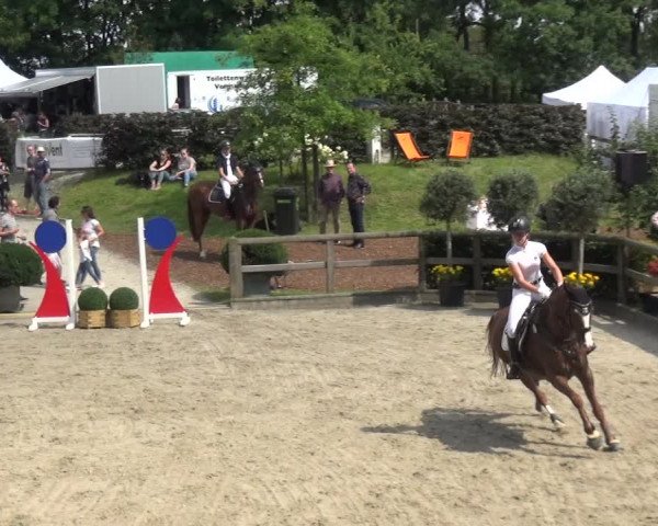 Reitsport Festival am Gut Jagenberg - Solingen 2021
