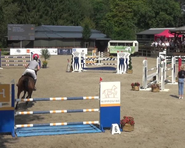 Reitsport Festival am Gut Jagenberg - Solingen 2021