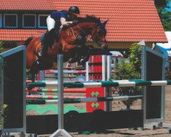 Zuchtstute Alcantara G (Württemberger, 2002, von Araconit)