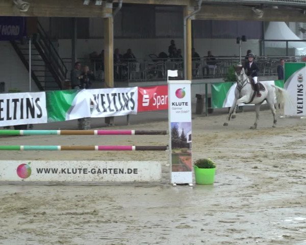 Reitturnier Hellefeld 2021