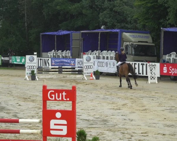 Reitturnier Hellefeld 2021