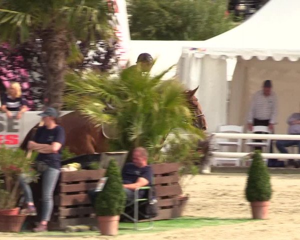 Reitturnier Schnarup-Thumby 2021