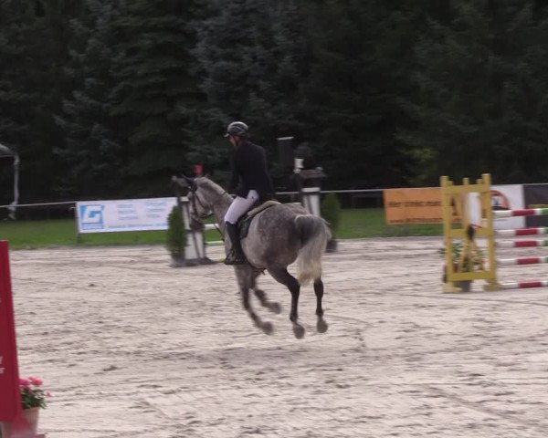 Springturnier Pietzpuhl 2021