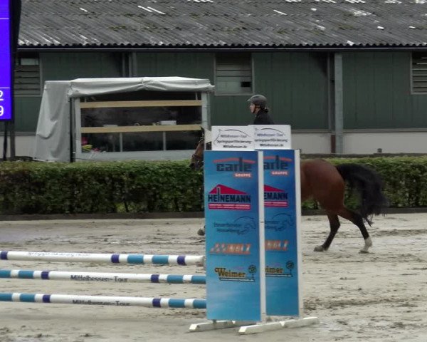 Reitturnier Siegen 2021