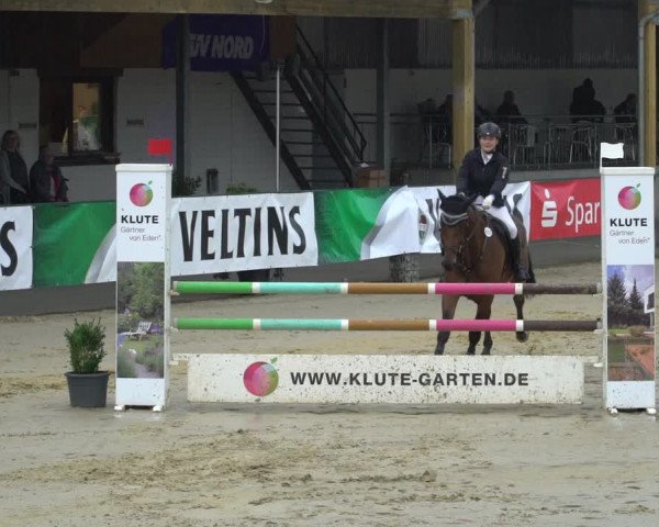 Reitturnier Hellefeld 2021