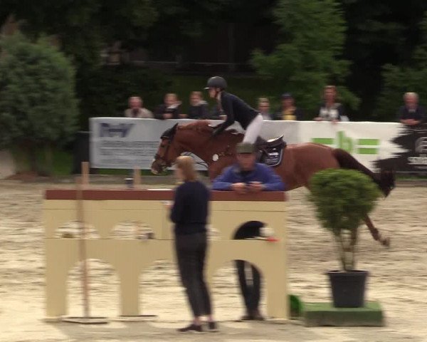Reitturnier Schnarup-Thumby 2021
