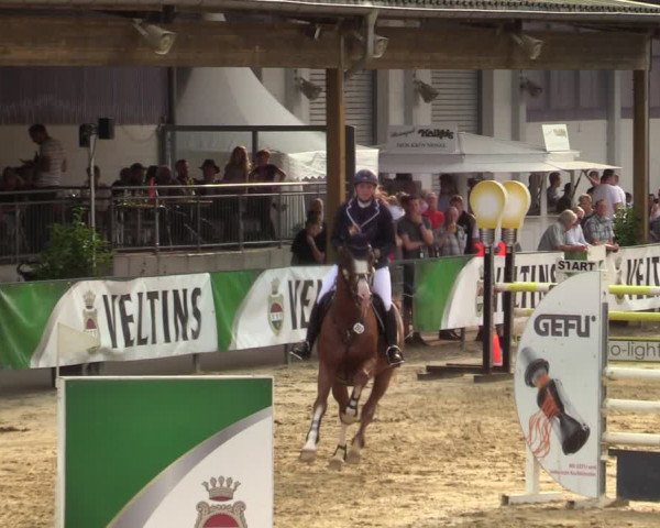 Reitturnier Hellefeld 2021