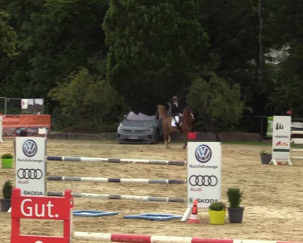 Reitturnier Hellefeld 2021
