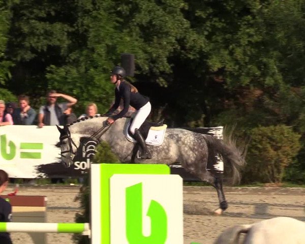 Reitturnier Schnarup-Thumby 2021