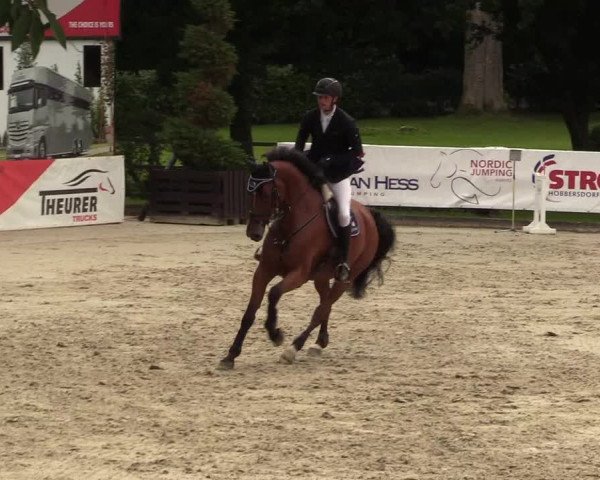 Reitturnier Schnarup-Thumby 2021