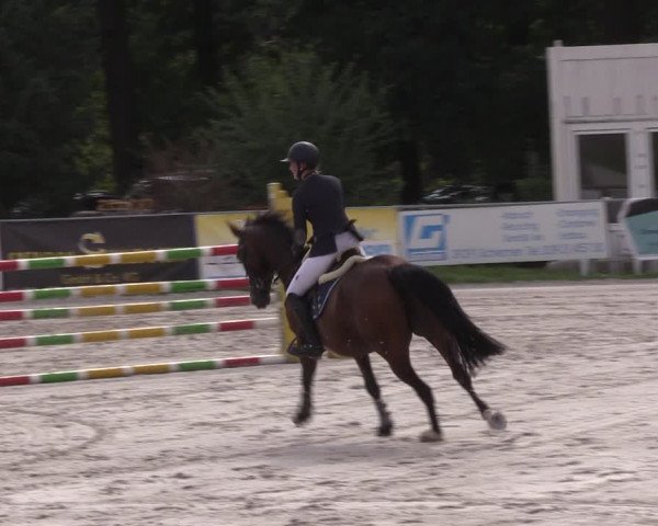 Springturnier Pietzpuhl 2021