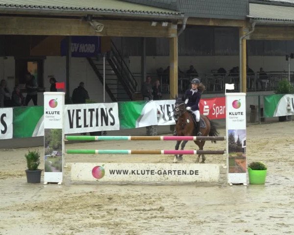 Reitturnier Hellefeld 2021